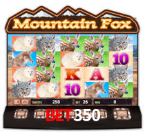 Tournament Betting